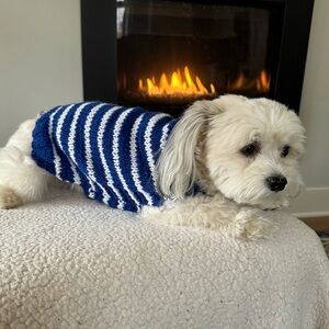 Hand knit small dog sweater